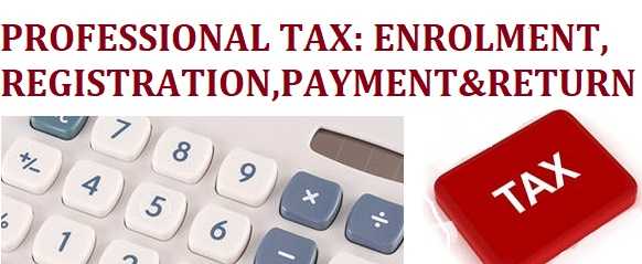 Professional Tax: Enrolment, Registration & Payment | WealthtechSpeaks