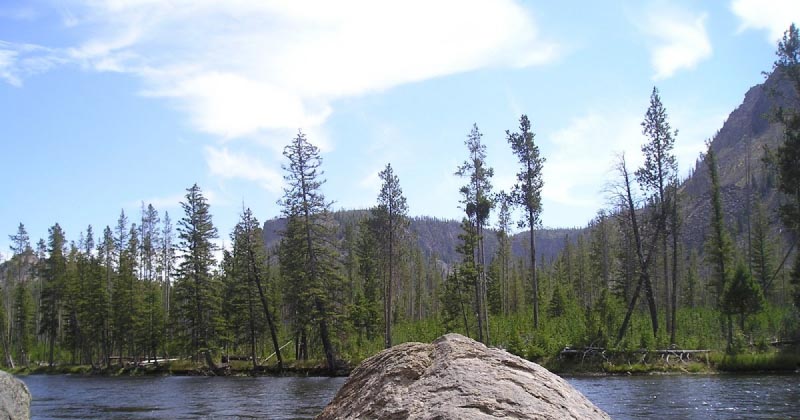 Programming -  An Art.