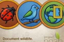 Project Noah-A New Experience!!!!