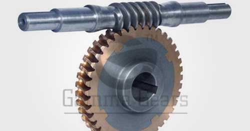Prominent Manufacturer Of Worm Wheels