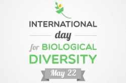 Protect Our Biodiversity, Protect Our Culture - Mekanagadde Homestay | Chikmagalur Homestay | Sakleshpur | Mudigere