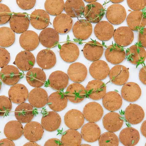 Protein Rich Savoury Crackers