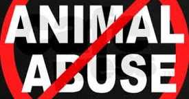 Protest For Ban On Ganesh Puja