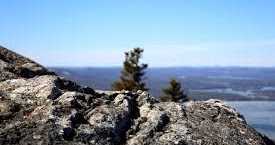 Psychological Thriller Short Story | She Is Wow!