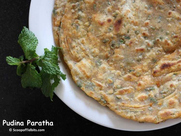 Pudina Paratha - Scoop Of Tidbits