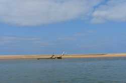 Pulicat- a lagoon, monuments and the Dutch connection