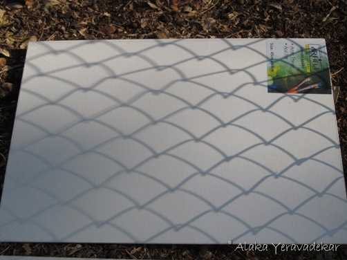 Pune Biennale: Fifty Artists At Taljai Hill Pune