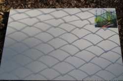 Pune Biennale: Fifty artists at Taljai hill Pune