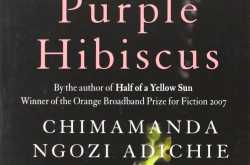 Purple Hibiscus