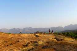 Purushwadi - A night lit by fireflies