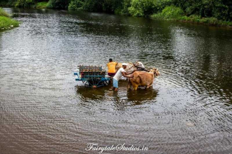 Purushwadi Village - A Photo Journey | | Photography - Travel - Blog | India | Fairytale Studios |
