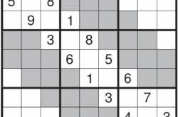 Puzzle No. 505: Anti-Clone Sudoku [Daily League]