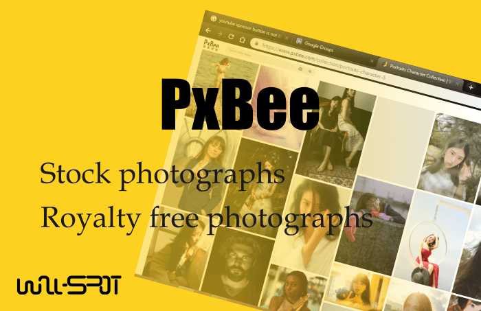 PxBee Review | Stock Photography Website - Wall-spot