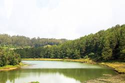 Pykara Lake, Ooty