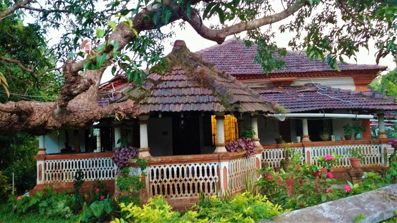 Quaint Goan Houses Of Saligao