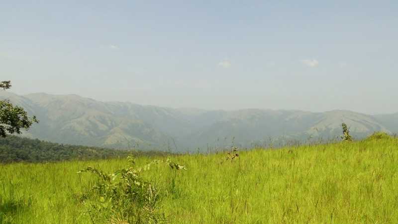 Quick Getaway From Bangalore: Bisle Ghat, Sakleshpur - Homestay In Sakleshpur | Resorts In Sakleshpur | Coffee Estate