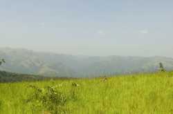 Quick Getaway from Bangalore: Bisle Ghat, Sakleshpur - Homestay in Sakleshpur | Resorts in Sakleshpur | Coffee Estate