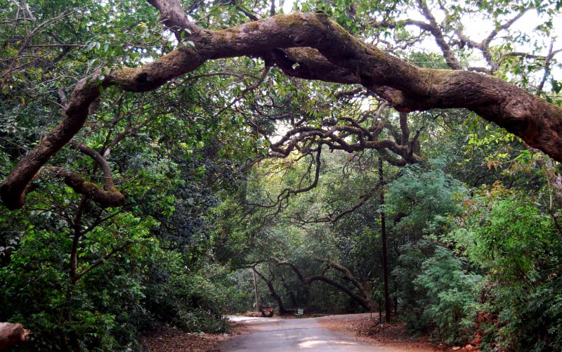 Quick Getaway Places In Maharashtra To Beat The Heat This Summer