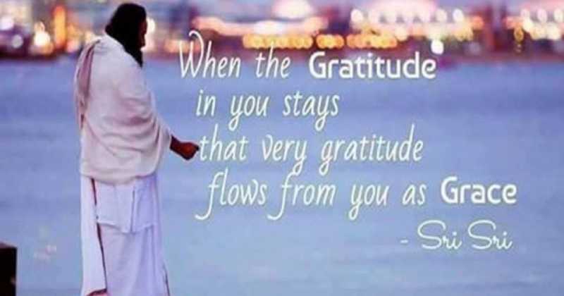 Quote On Gratitude | Knowledge | Life By Sri Sri Ravishankar 