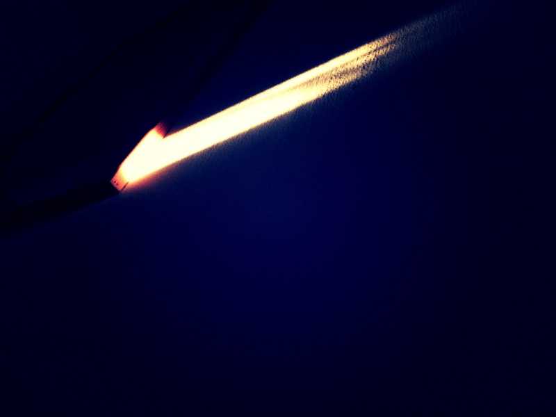 RABBIT HOLE POLITICS 