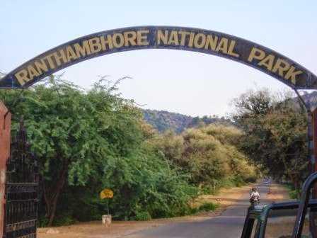 RANTHAMBORE NATIONAL PARK-MEMORIES ETCHED IN WILDERNESS