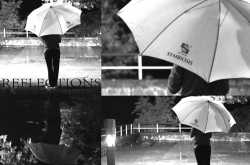 REFLECTIONS ON EDUCATION & THE REALIZATION TO EDUCATE