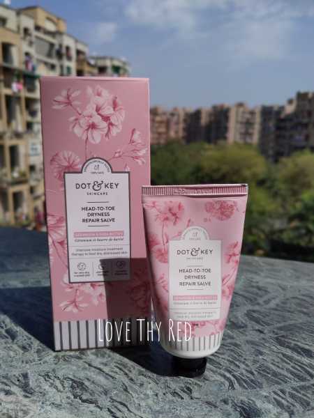 REVIEW: DOT & KEY Head To Toe Dryness Repair Salve
