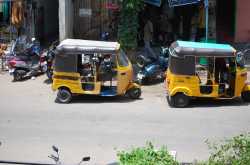 ROADS ARE FOR DRIVING ---- REALLY !!!!!