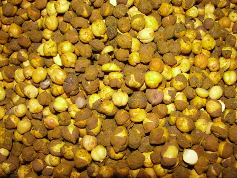 ROASTED CHANA FOR WEIGHT LOSS: BURN FAT FAST