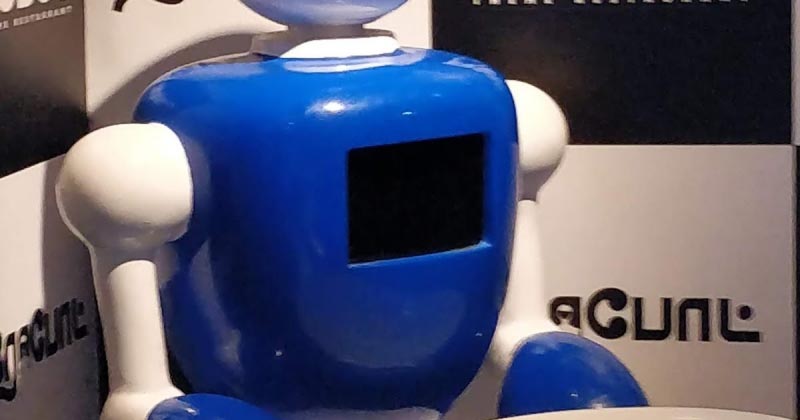 ROBOT THEME RESTAURANT @ SEMMENCHERI - A REVIEW