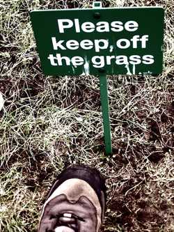 RULES! Meant To Be Broken?