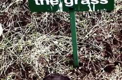 RULES! Meant to be broken?