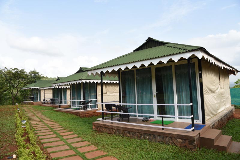 Raft, Zipline, Rappel Or Take A Dip In The Pool, Nature Trails At Durshet Has It All!