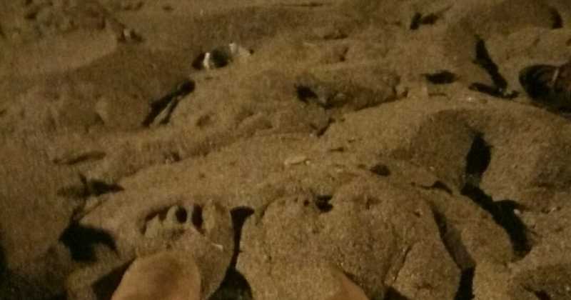 Rain, Dates And Museums: What I Learnt In One Afternoon In Bombay (But Really In Two Years)