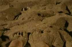 Rain, Dates and Museums: What I Learnt in One Afternoon in Bombay (But Really in Two Years)