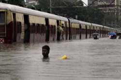 Rain Rain Go Away, Don\