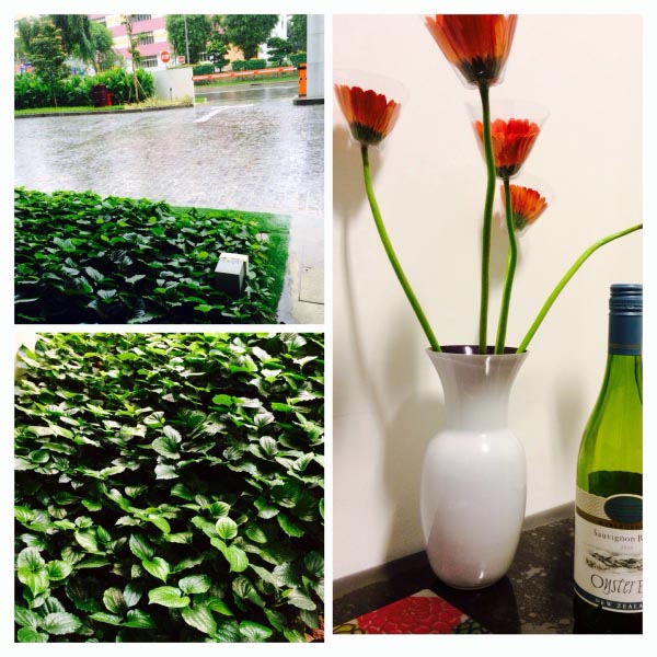 Rain, Flowers And Booze