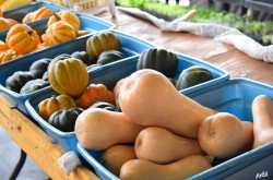 Raleigh State Farmers Market - A touch of flavor and an abundance of freshness.