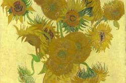 Ramblings of  Starry starry Nights !