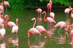 Ramsar sites in India (Part - II)