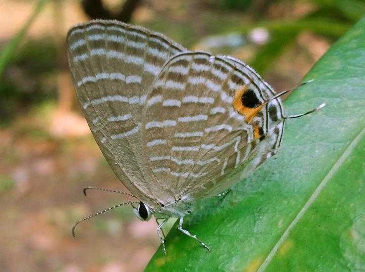 Random Pics On The Blog!!!!