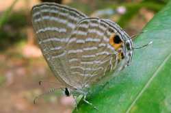 Random Pics On The Blog!!!!