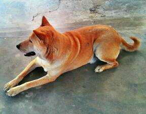 Random Stuff I Miss At 1am #1