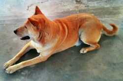 Random Stuff I Miss At 1am #1