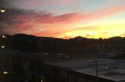 Random bouts of smiles