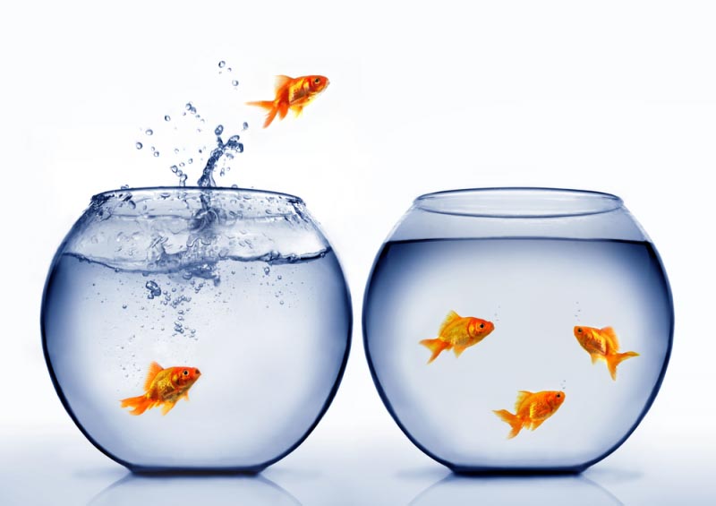 Randomrings Has A New Address