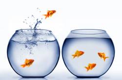 Randomrings has a new address