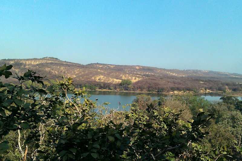 Ranthambore : A Trip To The Lion