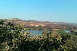 Ranthambore : A trip to the Lion\