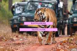 Ranthambore | Travel Guide - Peacock Featherz